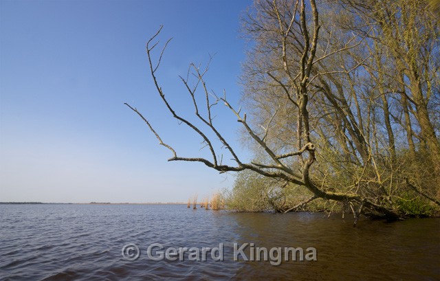 Schildmeer-6574