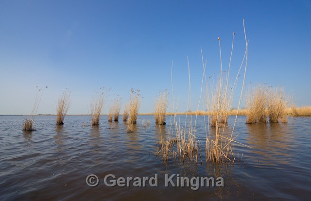 Schildmeer-6589