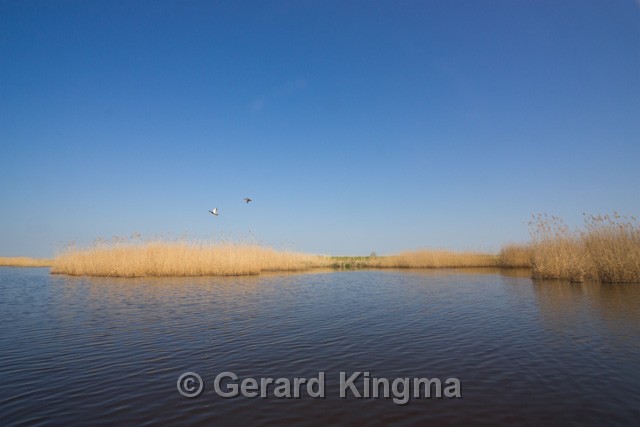 Schildmeer-6618