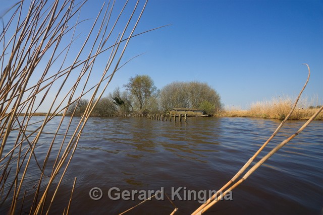 Schildmeer-6620