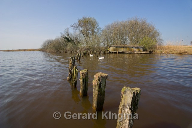 Schildmeer-6643