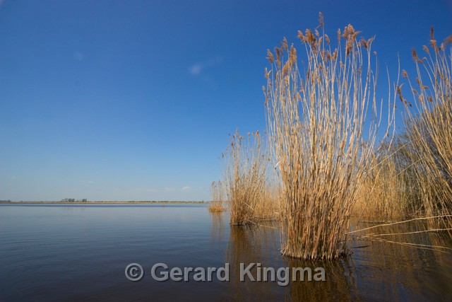 Schildmeer-6752