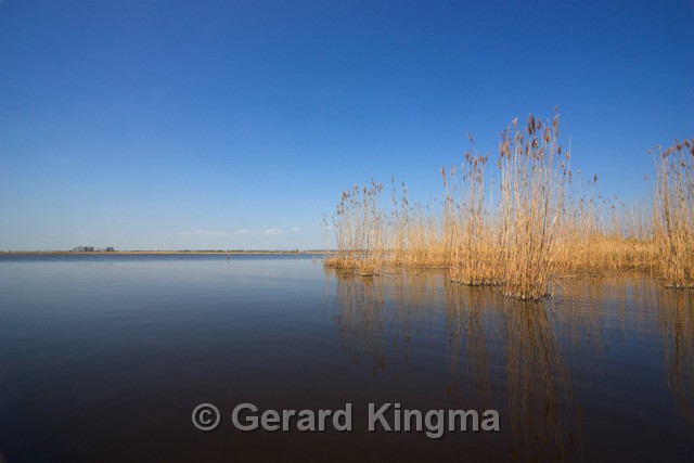 Schildmeer-6764