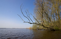 Schildmeer-6574.jpg