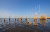 Schildmeer-6589.jpg